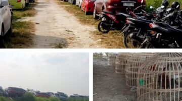 Dari Lamongan untuk Indonesia: Potret Buram Penegakan Hukum di Tengah Jeritan Warga